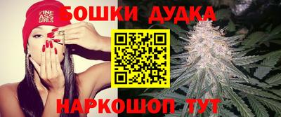 ECSTASY Камышлов