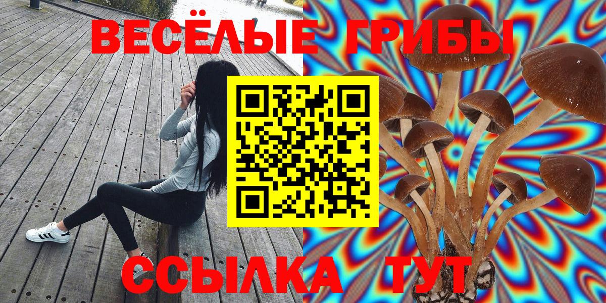 Валуйки  Галлюциногенные грибы Magic Shrooms  Вход с VPN 